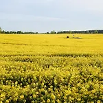 A10 Pine Hill - Komfortables Mit Zwei Bädern, Balkon&leichtem Haffblick, Zugang Zu Den Vielfältigen Gemeinschaftsräumen